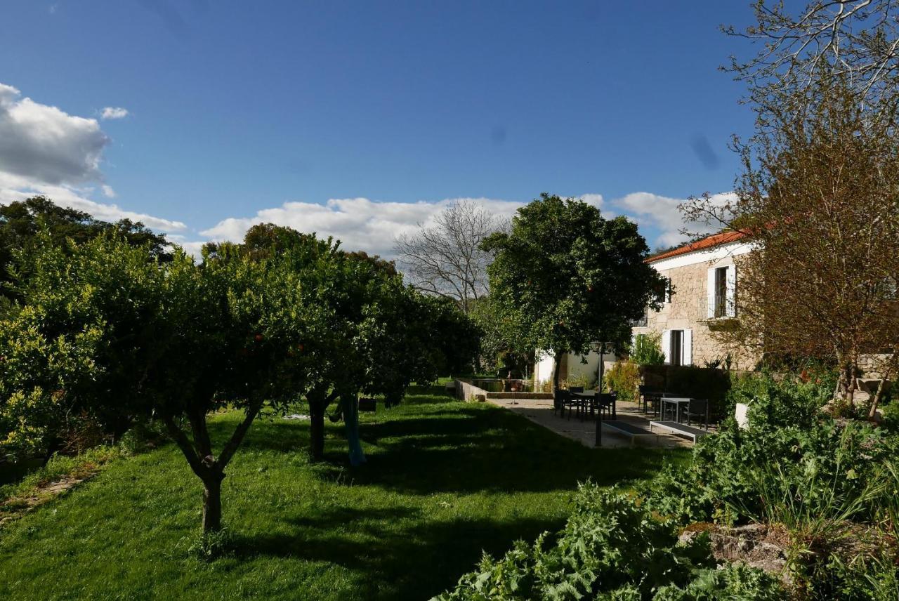 Quinta De Sao Pedro De Vir-A-Corca Em Monsanto Bed & Breakfast Exterior photo