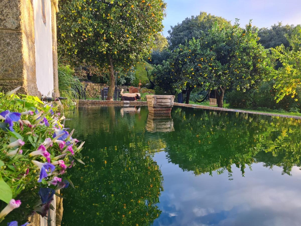 Quinta De Sao Pedro De Vir-A-Corca Em Monsanto Bed & Breakfast Exterior photo